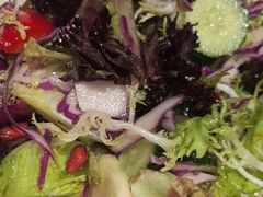 -阿西娅食府(中关村店)