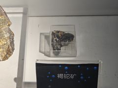 -中国地质博物馆