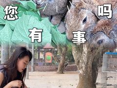 -侯臣咖啡文化村