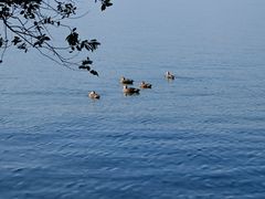 -浙江西子宾馆·瑶园咖啡厅