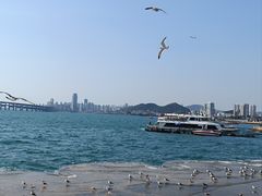 -星海广场