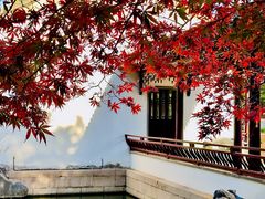 -钱万兴(塔园路店)