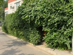 门面-斯多格书乡(北京大学畅春园店)