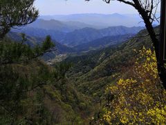 -王顺山国家森林公园