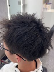 -YESIDO椰岛造型
