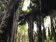 -龙达温泉生态城