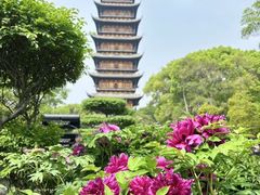 -常熟方塔园