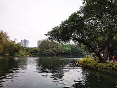 -晓港公园