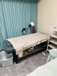 -苗塑堂减肥艾灸