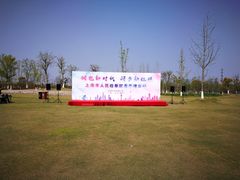 -上海长兴岛郊野公园