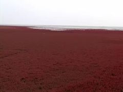 -红海滩国家风景廊道
