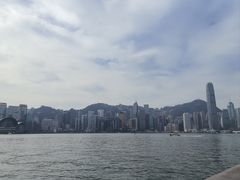 -星光大道