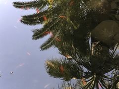 -苏州河梦清园环保主题公园