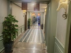 -海派美食·家宴海鲜青岛菜·石锅鲽鱼头(东方城店)
