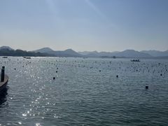 -西树泡芙(湖滨银泰in77B区店)
