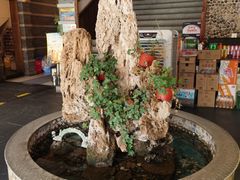-都江堰石锅鱼