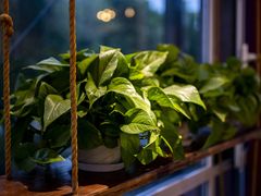 -77号渔船·蒸海鲜青岛菜(积米崖店)