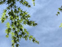 -南京市民俗博物馆(甘熙故居)