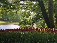 -库肯霍夫公园