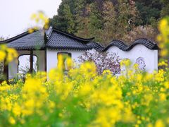 -苏州上方山国家森林公园