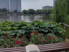 -西海子公园