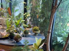 -自由生长植物工作室(深港花卉中心店)