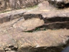 -虞山城墙
