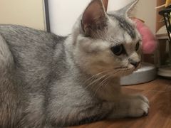 -杂咖zacup(领展中心城店)
