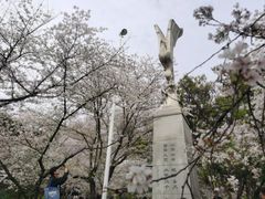 -武汉大学-樱园