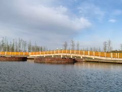 -春花秋色城市公园