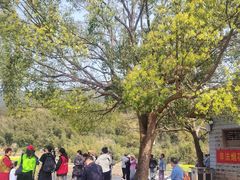 -福建土楼（南靖）云水谣景区-和贵楼