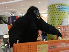 -LOHO眼镜(北京朝北大悦城店)