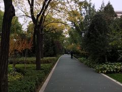 -迎泽公园