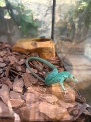 -Zoolung Zoolung动物主题公园(海信广场店)