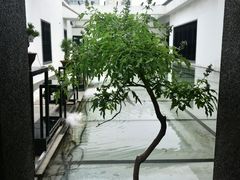 -稍可轩博物馆餐厅