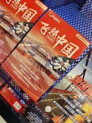 -飞览天下沉浸式飞行体验(北京旗舰店)
