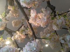 -北京花见餐饮管理有限公司