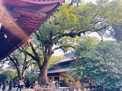 -阿育王寺素斋馆