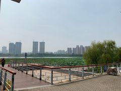 -武汉琴台钢琴博物馆