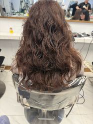 -镁连社·美联社