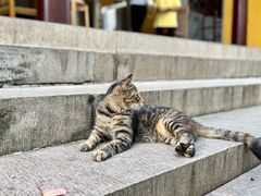-西园戒幢律寺