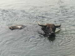 -杭州双溪漂流景区