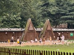 -上海野生动物园