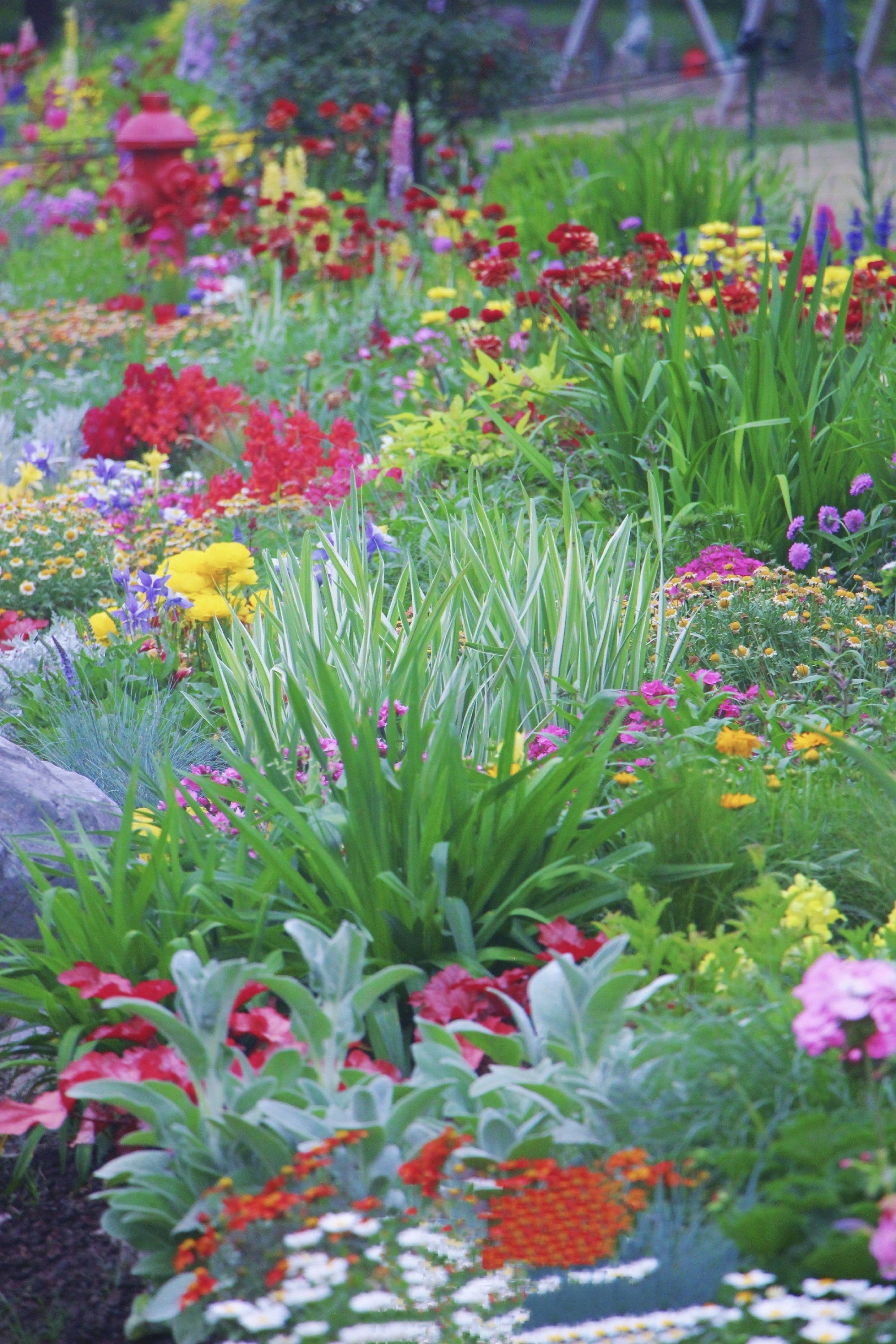 一起去上海植物园感受春天的美好吧💐