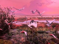 -中国湿地博物馆