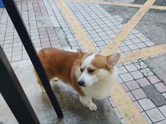 -小梁哥云吞面(黄贝岭店)