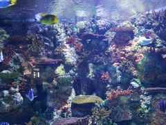 -乌鲁木齐海洋馆