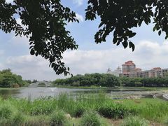 -映月湖公园