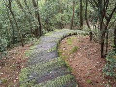 -长沙黑麋峰国家森林公园