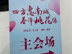 -南汇桃花村